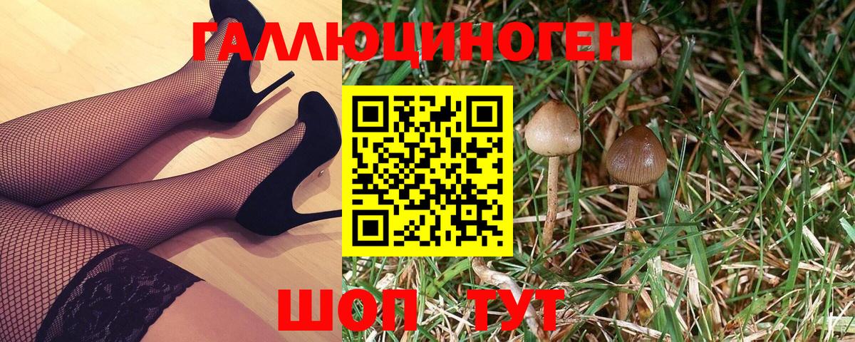 Галлюциногенные грибы Psilocybe  купить наркоту  Химки  Галлюциногенные грибы Cubensis 